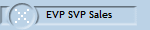 SVP Sales Case History