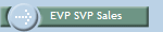 SVP Sales Case History