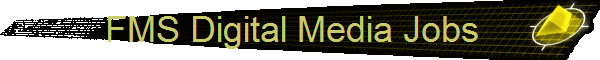          FMS Digital Media Jobs