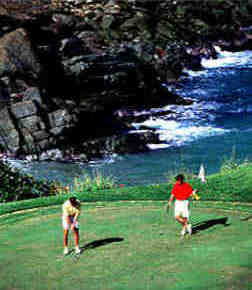 jobs for TV execuitves that like to golf in St. Thomas